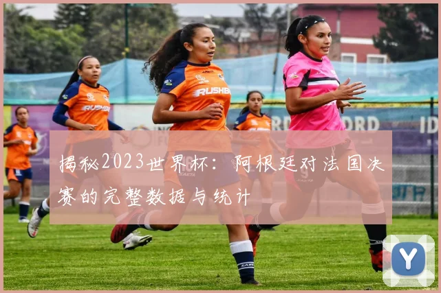 揭秘2023世界杯：阿根廷对法国决赛的完整数据与统计