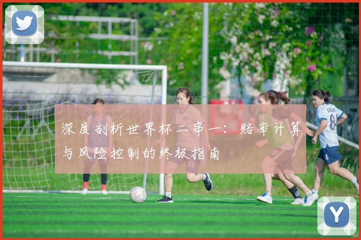深度剖析世界杯二串一：赔率计算与风险控制的终极指南