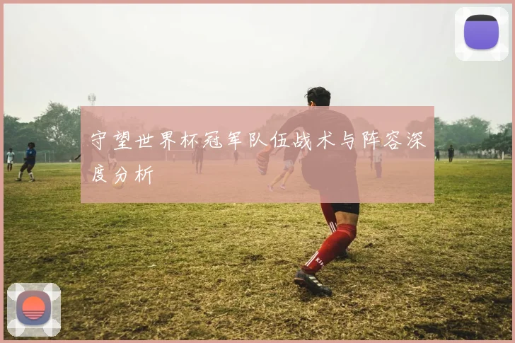 守望世界杯冠军队伍战术与阵容深度分析