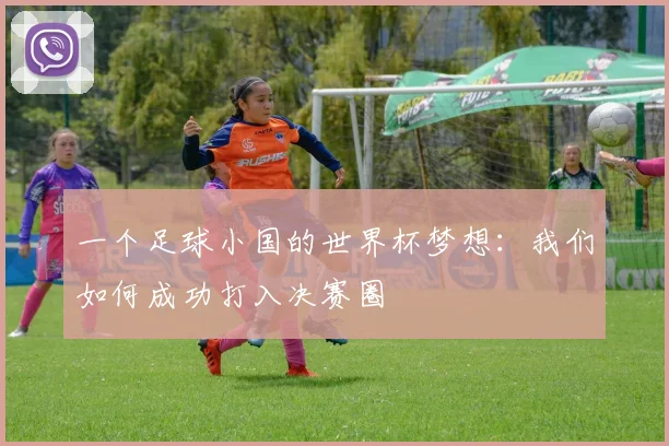 一个足球小国的世界杯梦想：我们如何成功打入决赛圈