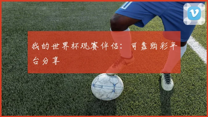 我的世界杯观赛伴侣：可靠购彩平台分享