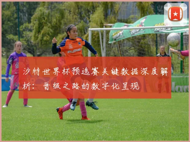 沙特世界杯预选赛关键数据深度解析：晋级之路的数字化呈现