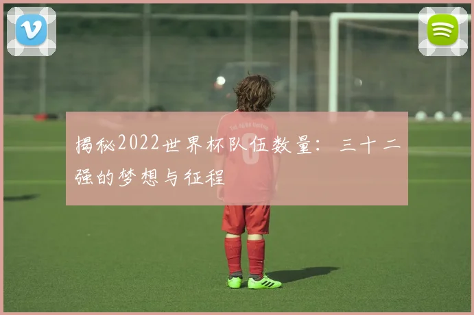 揭秘2022世界杯队伍数量：三十二强的梦想与征程