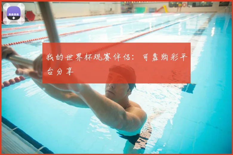 我的世界杯观赛伴侣:可靠购彩平台分享