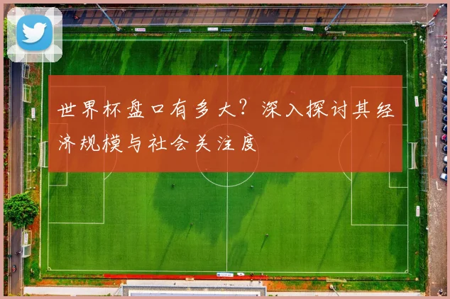 世界杯盘口有多大？深入探讨其经济规模与社会关注度