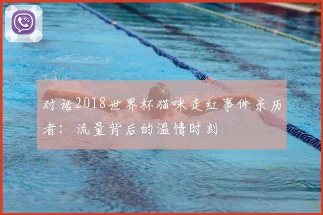 对话2018世界杯猫咪走红事件亲历者：流量背后的温情时刻